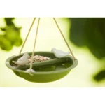 Vogelbad en voederschaal2